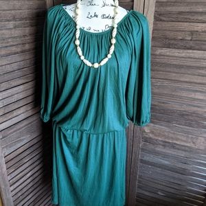 NWT Talbot's Green Knit Dress-M